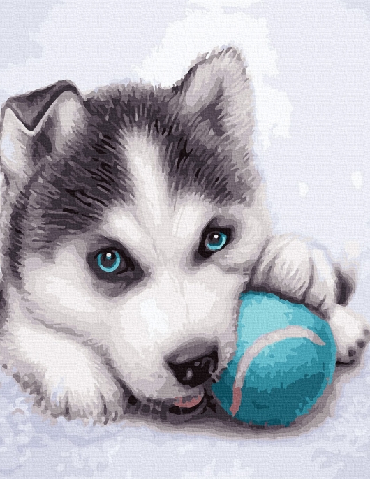 Tapyba pagal skaičius Husky šuniukas su kamuoliuku 40x50 cm Tapyba pagal skaičius Husky šuniukas su kamuoliuku 40x50 cm