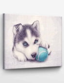 Tapyba pagal skaičius Husky šuniukas su kamuoliuku 40x50 cm Tapyba pagal skaičius Husky šuniukas su kamuoliuku 40x50 cm