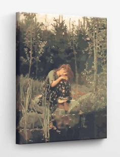 Tapyba pagal skaičius Alionka 40x50 cm