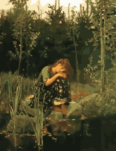 Tapyba pagal skaičius Alionka 40x50 cm