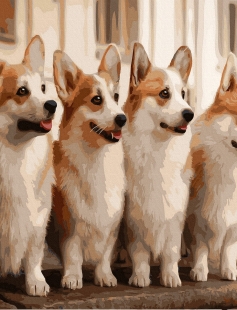 Tapyba pagal skaičius Žavus korgis 40x50 cm