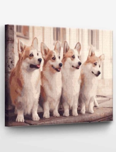 Tapyba pagal skaičius Žavus korgis 40x50 cm