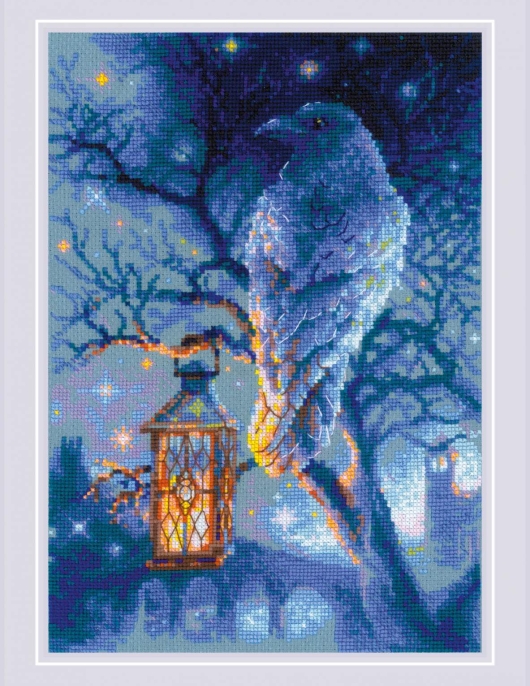 Siuvinejimo rinkinys Išmintingasis Varnas 21x30 cm