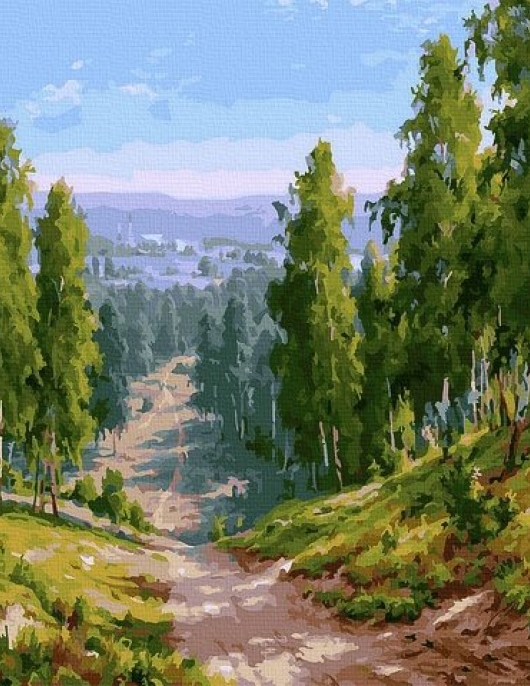 Tapyba pagal skaičius Miško takas 40x50 cm