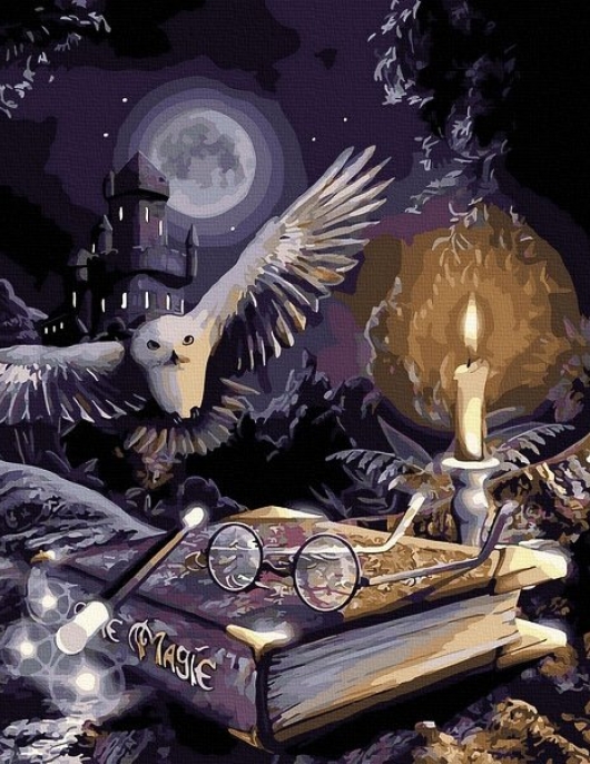 Tapyba pagal skaičius Mistinė Pelėda 40x50 cm