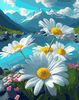 Tapyba pagal skaičius Kalnų ramunės 40x50 cm