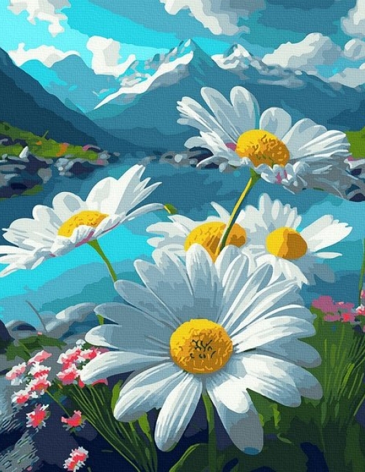 Tapyba pagal skaičius Kalnų ramunės 40x50 cm