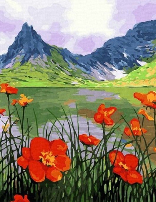 Tapyba pagal skaičius Kalnų aguonos 40x50 cm