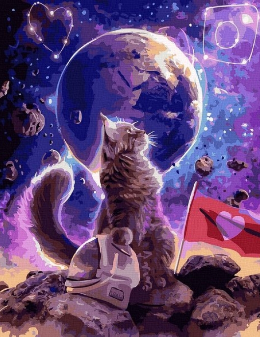 Tapyba pagal skaičius Kosminė katė 40x50 cm