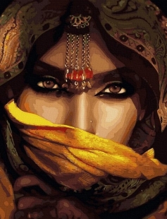 Tapyba pagal skaičius Auksinio šydo žvilgsnis 40x50 cm