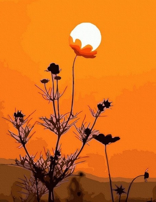 Tapyba pagal skaičius Saulės apšviestas žydėjimas 40x50 cm