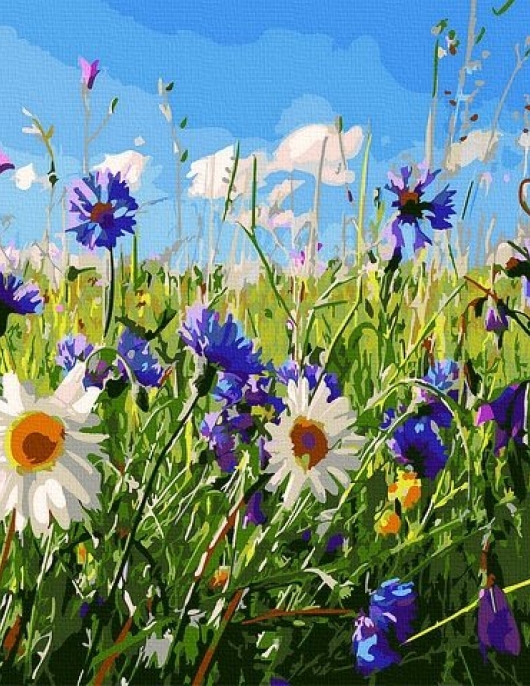 Tapyba pagal skaičius Laukinių gėlių laukas 40x50 cm Tapyba pagal skaičius Laukinių gėlių laukas 40x50 cm