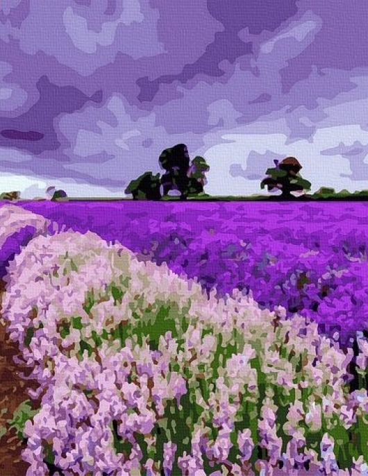 Tapyba pagal skaičius Levandų laukai 40x50 cm Tapyba pagal skaičius Levandų laukai 40x50 cm