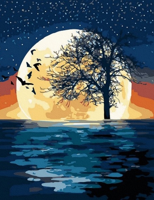 Tapyba pagal skaičius Mėnulio atspindys 40x50 cm