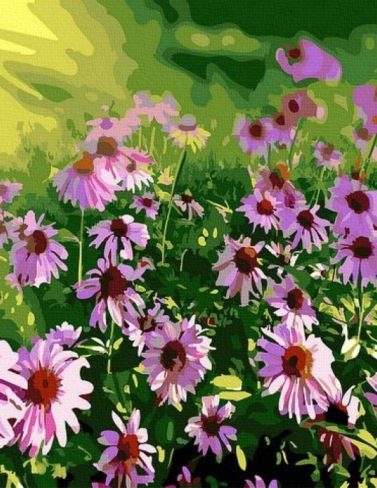 Tapyba pagal skaičius Laukinės ramunės 40x50 cm