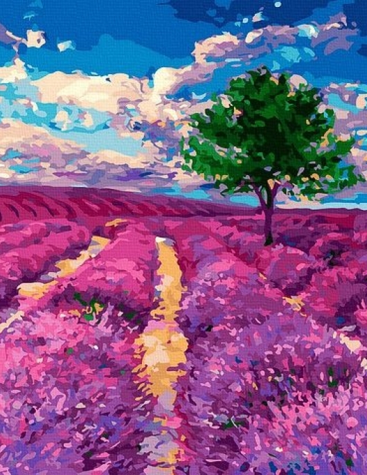 Tapyba pagal skaičius Levandų svajonė 40x50 cm Tapyba pagal skaičius Levandų svajonė 40x50 cm