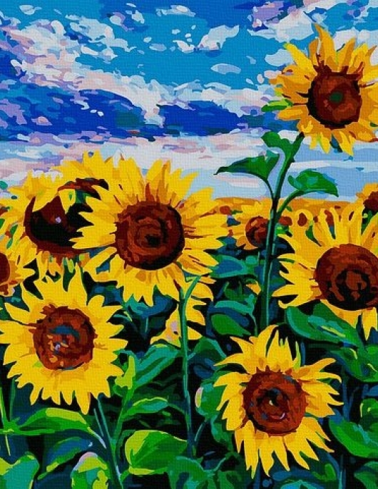Tapyba pagal skaičius Saulėgrąžų laukas 40x50 cm