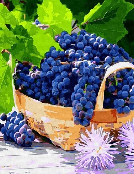 Tapyba pagal skaičius Vynuogių krepšelis 40x50 cm