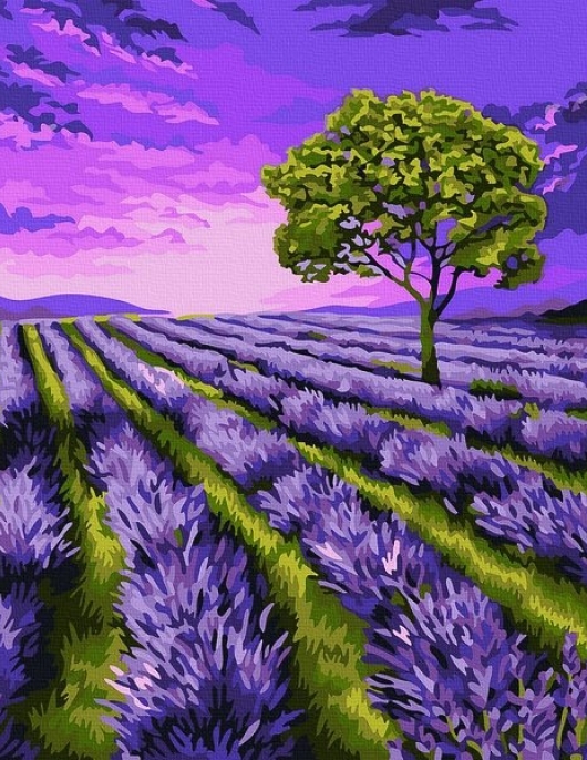 Tapyba pagal skaičius Levandų laukas 40x50 cm Tapyba pagal skaičius Levandų laukas 40x50 cm