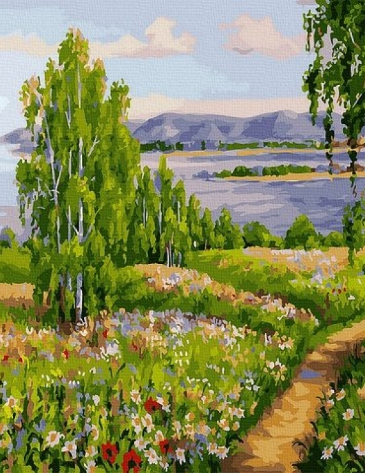 Tapyba pagal skaičius Vasaros kelias 40x50 cm
