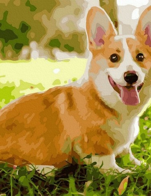 Tapyba pagal skaičius Žaismingas Corgi 40x50 cm