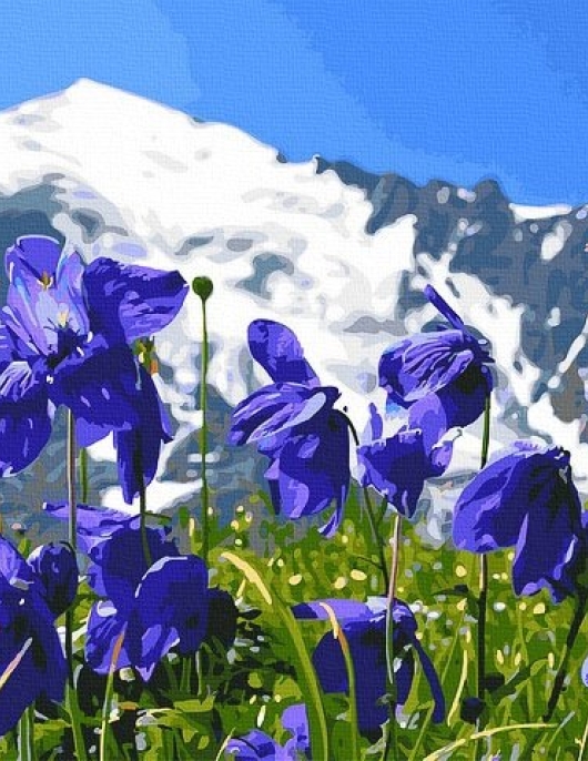 Tapyba pagal skaičius Kalnų vilkdalgiai 40x50 cm