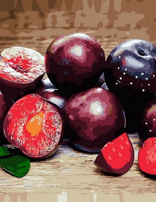 Tapyba pagal skaičius Slyvų natiurmortas 40x50 cm Tapyba pagal skaičius Slyvų natiurmortas 40x50 cm