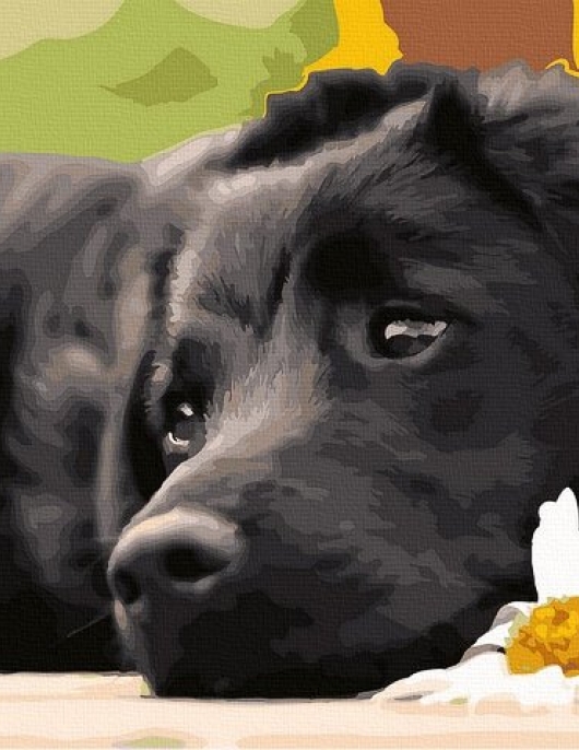 Tapyba pagal skaičius Šuo su Daisy 40x50 cm