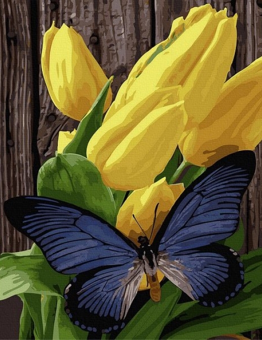 Tapyba pagal skaičius Drugelis ir tulpės 40x50 cm