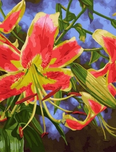 Tapyba pagal skaičius Ryškios raudonos lelijos 40x50 cm