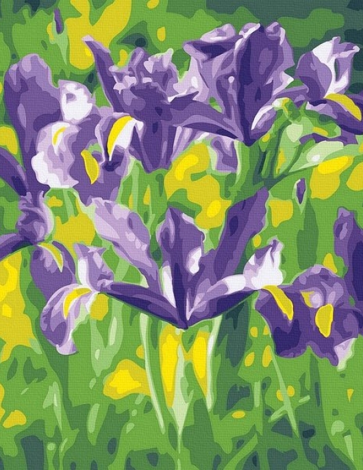 Tapyba pagal skaičius Violetiniai vilkdalgiai 40x50 cm Tapyba pagal skaičius Violetiniai vilkdalgiai 40x50 cm