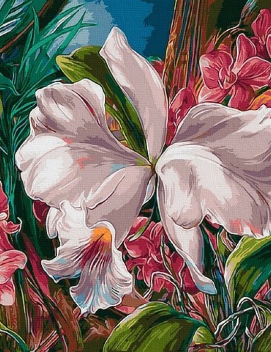 Tapyba pagal skaičius Tropinės orchidėjos 40x50 cm