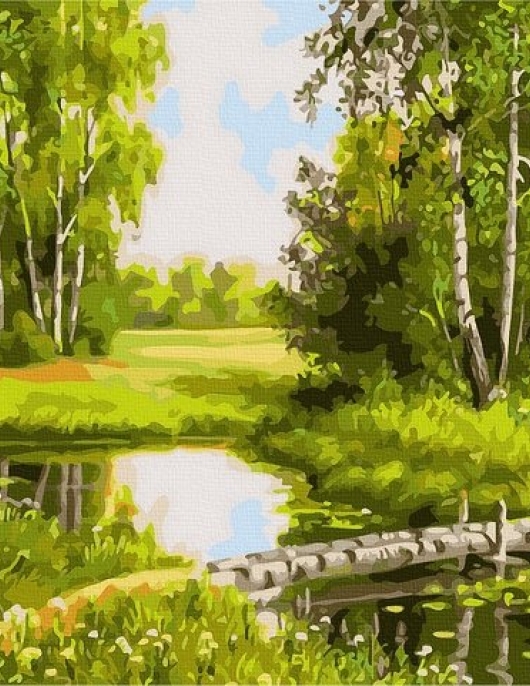 Tapyba pagal skaičius Miško atspindys 40x50 cm