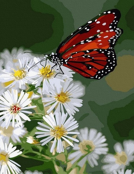 Tapyba pagal skaičius Drugelis ant gėlių 40x50 cm