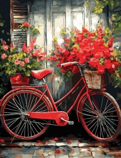 Tapyba pagal skaičius Raudonas dviratis 40x50 cm