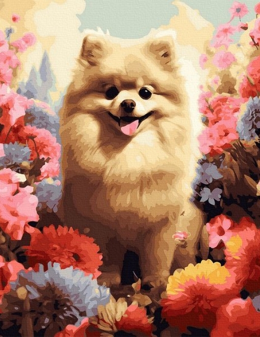 Tapyba pagal skaičius Pomeranijos sodas 40x50 cm