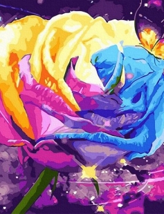 Tapyba pagal skaičius Galaktinė rožė 40x50 cm