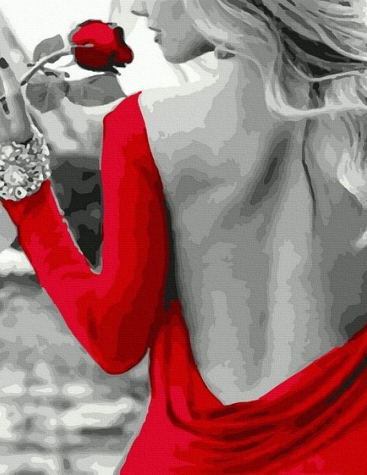 Tapyba pagal skaičius Ponia raudonai 40x50 cm