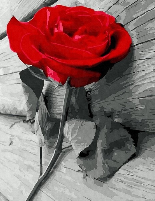 Tapyba pagal skaičius Scarlet Rose 40x50 cm Tapyba pagal skaičius Scarlet Rose 40x50 cm