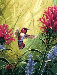 Tapyba pagal skaičius Kolibris žydint 40x50 cm