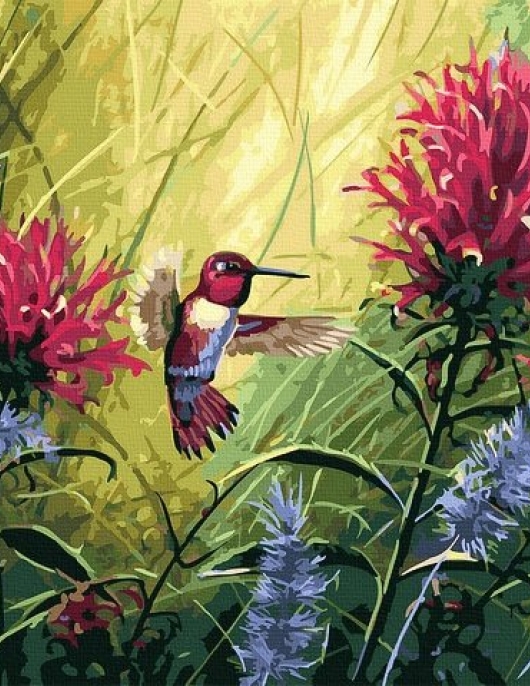 Tapyba pagal skaičius Kolibris žydint 40x50 cm