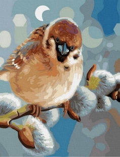 Tapyba pagal skaičius Žvirblis ant gluosnio 40x50 cm