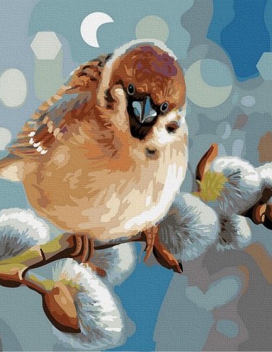 Tapyba pagal skaičius Žvirblis ant gluosnio 40x50 cm