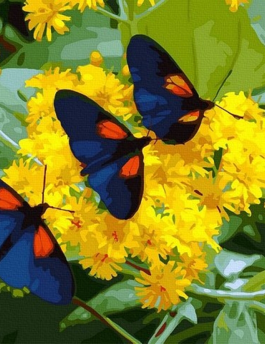 Tapyba pagal skaičius Drugelių trio 40x50 cm