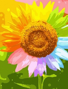 Tapyba pagal skaičius Spalvinga saulėgrąža 40x40 cm