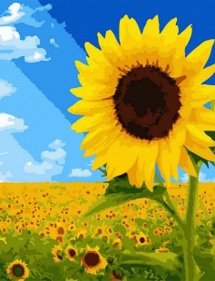 Tapyba pagal skaičius Saulėgrąžų laukas 40x40 cm