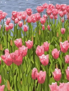 Tapyba pagal skaičius Tulpių laukas 30x30 cm