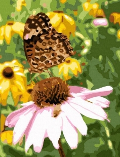 Tapyba pagal skaičius Drugelis ant gėlių 30x30 cm