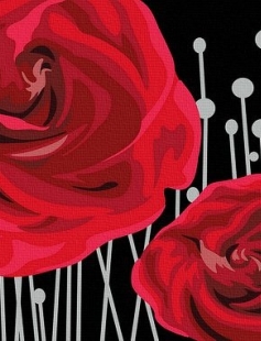 Tapyba pagal skaičius Raudonos rožės elegancija 50x50x3 cm