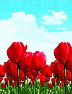 Tapyba pagal skaičius Tulpių laukai 50x50x3 cm